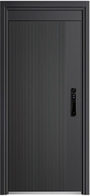 铝雕系列100A-8806星明